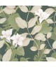 ROYAL LILY 200267808