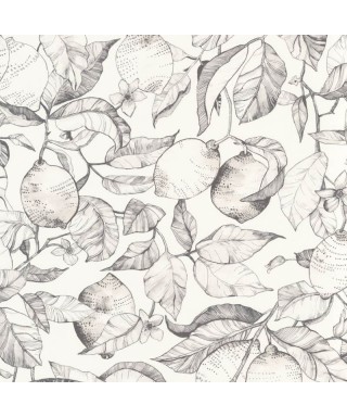 LEMON TREE 200270900