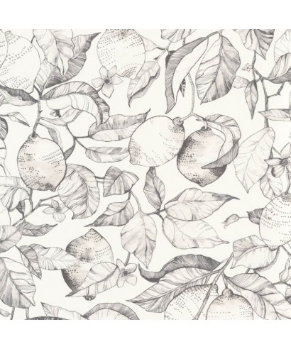 LEMON TREE 200270900