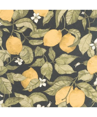 LEMON TREE 200272727