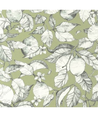 LEMON TREE 200277313