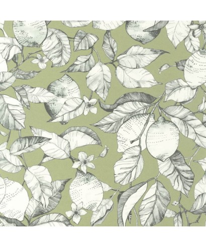 LEMON TREE 200277313