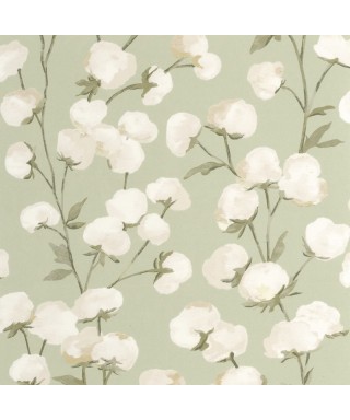 COTTON FLOWER 200297202