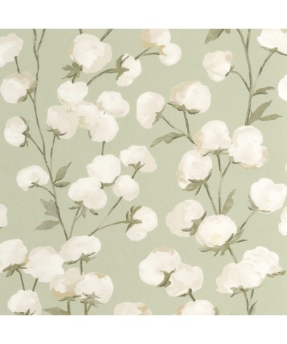 COTTON FLOWER 200297202