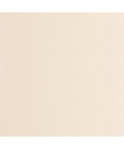 PIGMENTS 200331101