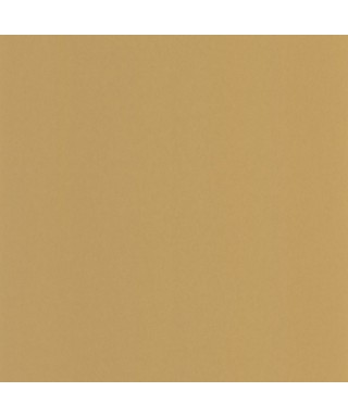 PIGMENTS 200332424
