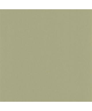 PIGMENTS 200337337