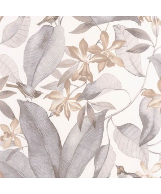 DELICACY BIRDSONG 85389242