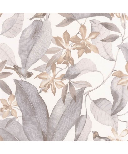 DELICACY BIRDSONG 85389242