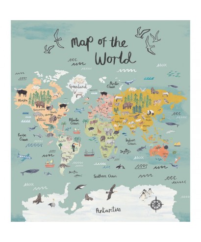 VAGABONDER 103604501