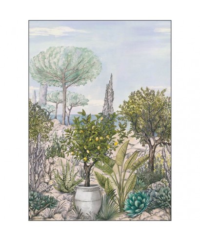 BAUX DE PROVENCE CAL 105477703