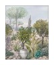 BAUX DE PROVENCE CAL 105477705