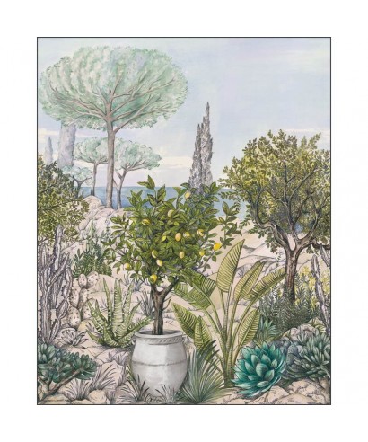 BAUX DE PROVENCE CAL 105477705
