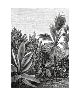 THE PLACE TO BE(D) ESCAPE 102059018