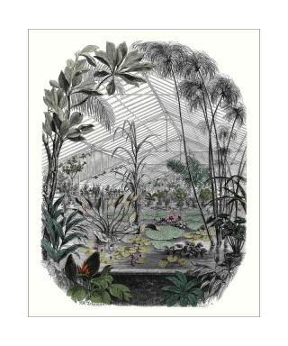 PANORAMIQUE JARDIN D'HIVER 102397070