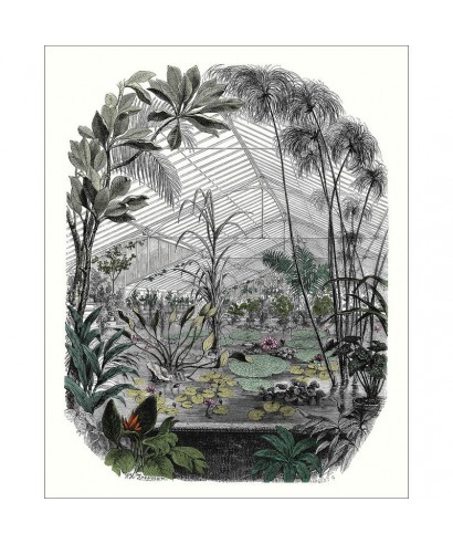 PANORAMIQUE JARDIN D'HIVER 102397070