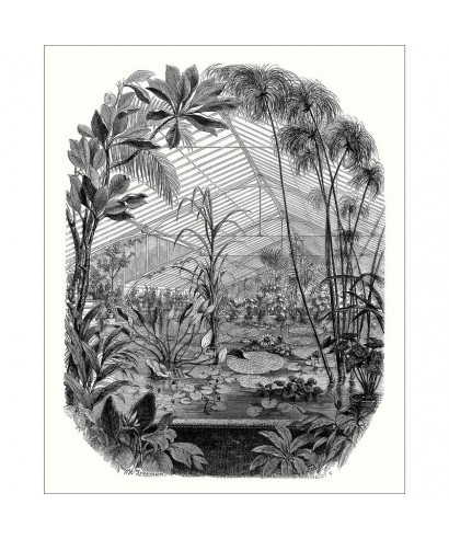 PANORAMIQUE JARDIN D'HIVER 102399000