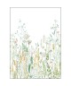 HERBARIUM 105390403