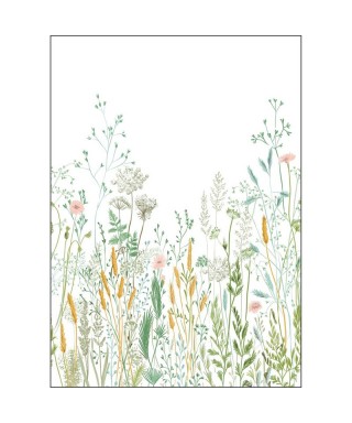 HERBARIUM 105390403