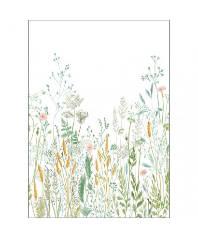 HERBARIUM 105390403