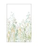 HERBARIUM 105390404