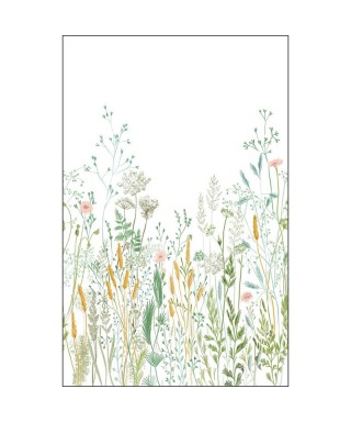 HERBARIUM 105390404
