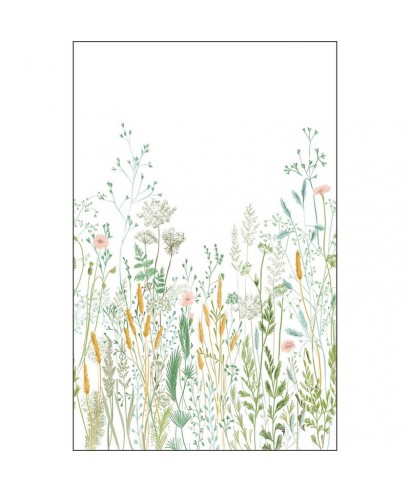 HERBARIUM 105390404