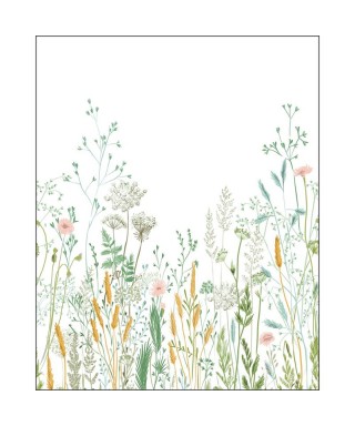 HERBARIUM 105390405