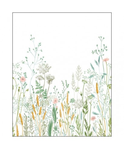 HERBARIUM 105390405