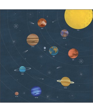 LE MONDE DES PLANETES 105797606