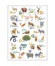 LET S LEARN THE ALPHABET 105857003