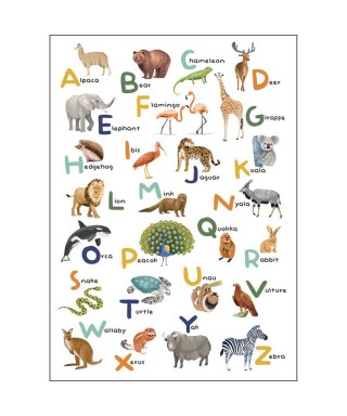 LET S LEARN THE ALPHABET 105857003