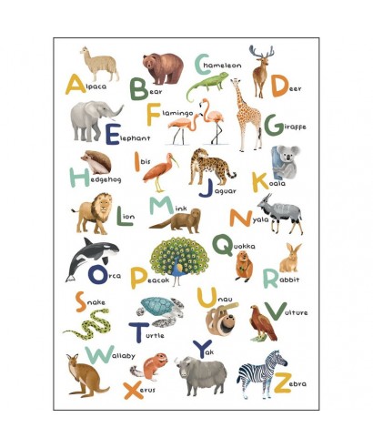 LET S LEARN THE ALPHABET 105857003