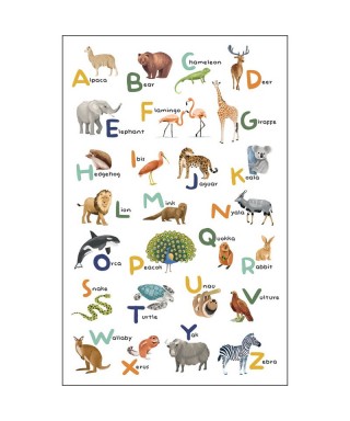 LET S LEARN THE ALPHABET 105857004
