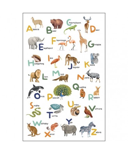 LET S LEARN THE ALPHABET 105857004
