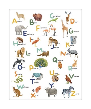LET S LEARN THE ALPHABET 105857005