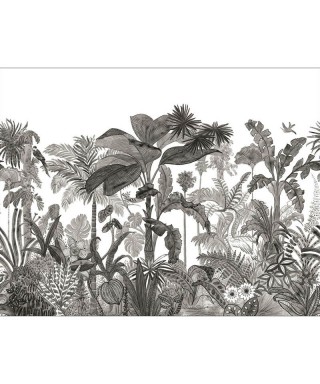 EXOTICA 104120912