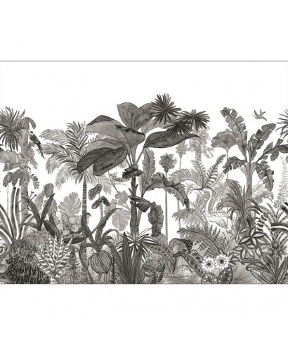 EXOTICA 104120912