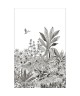 COLIBRI 104140934