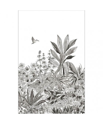 COLIBRI 104140934