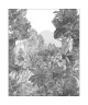 SECRET LANDSCAPE 104859202