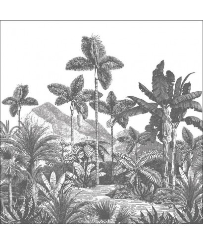 EXOTIC & IDYLLIC 104869506