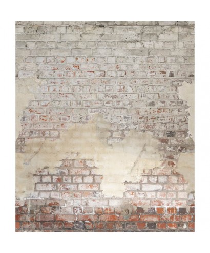 BRICKWALL 106251025
