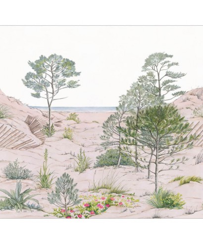 SAND DUNE 106377037