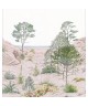 SAND DUNE 106377038