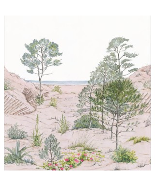SAND DUNE 106377038