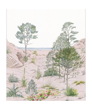 SAND DUNE 106377039