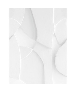 PLASTER VOLUMN 106380026