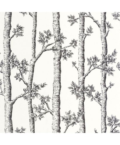 AUTOMNE 106120000