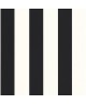 WIDE LINES 104029290
